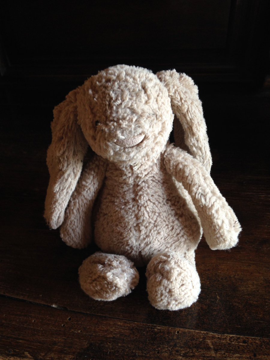 RT <a href="/lcavazza/">Lara</a>: <a href="/Gatwick_Airport/">London Gatwick LGW</a> can you help me reunite bunny with its owner? Found in north terminal. #lostbunny