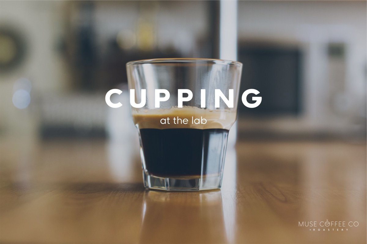 themusecoffeeco's tweet photo. Do you love coffee and want to geek out about it? We have 4 cupping classes scheduled through 2017. Register here: https://t.co/GFLpjE4Nfm https://t.co/nqDluow67p