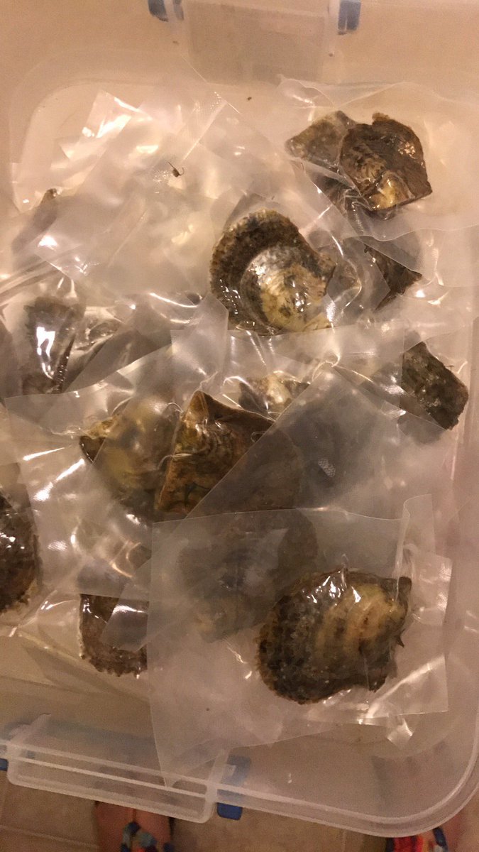 PoolSidePearls's tweet image. Lots of oysters!!
#pearlparty #tuesdaynight #oystershucking #purplepearlgirl #poolsidepearls