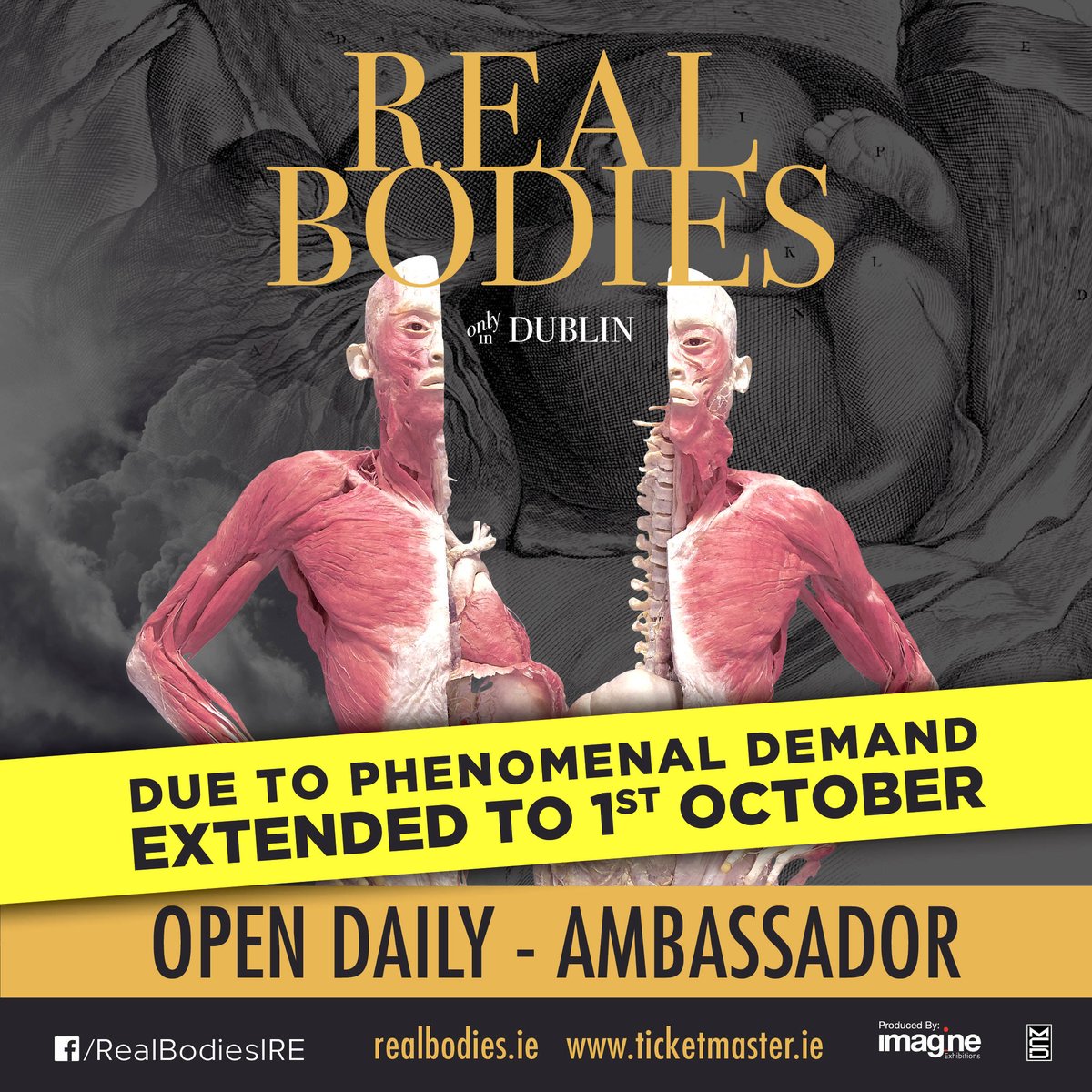 Ambassador_Dub's tweet photo. Great news, @RealBodiesIRE has been extended at The Ambassador Dublin until 1st October 2017! Open 7 days a week https://t.co/iOCKywKhCG https://t.co/kEVqw6rwo1