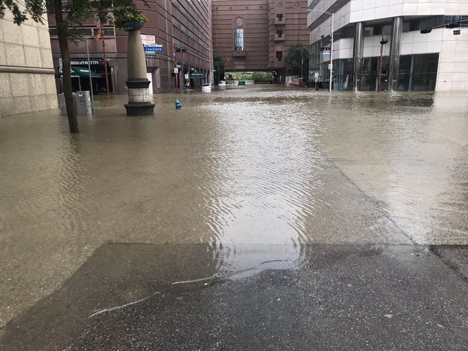 View image on Twitter