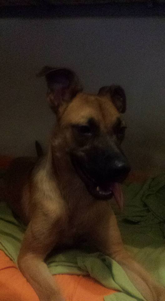 TheDriverAlex's tweet image. New entry