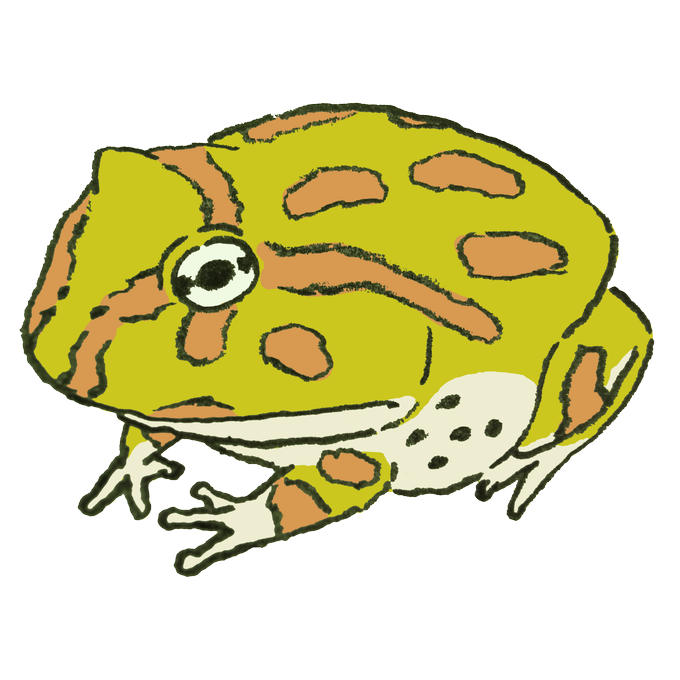 クランウェルツノガエルのtwitterイラスト検索結果 古い順 クランウェルツノガエルのtwitterイラスト検索結果 古い順