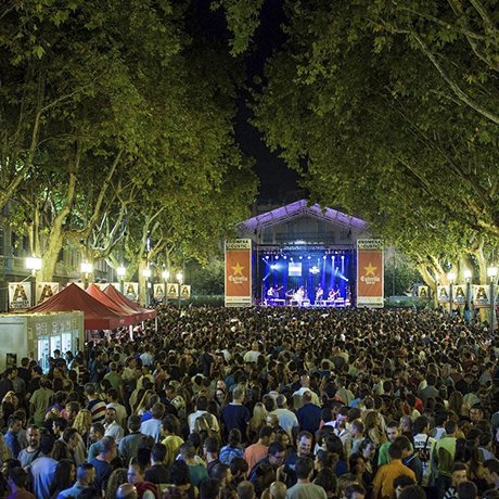 Estrella Damm Cat tweet media