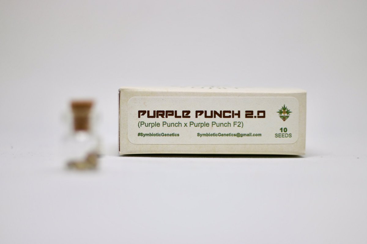 it's gonna be a good weed #SymbioticGenetics #PurplePunch