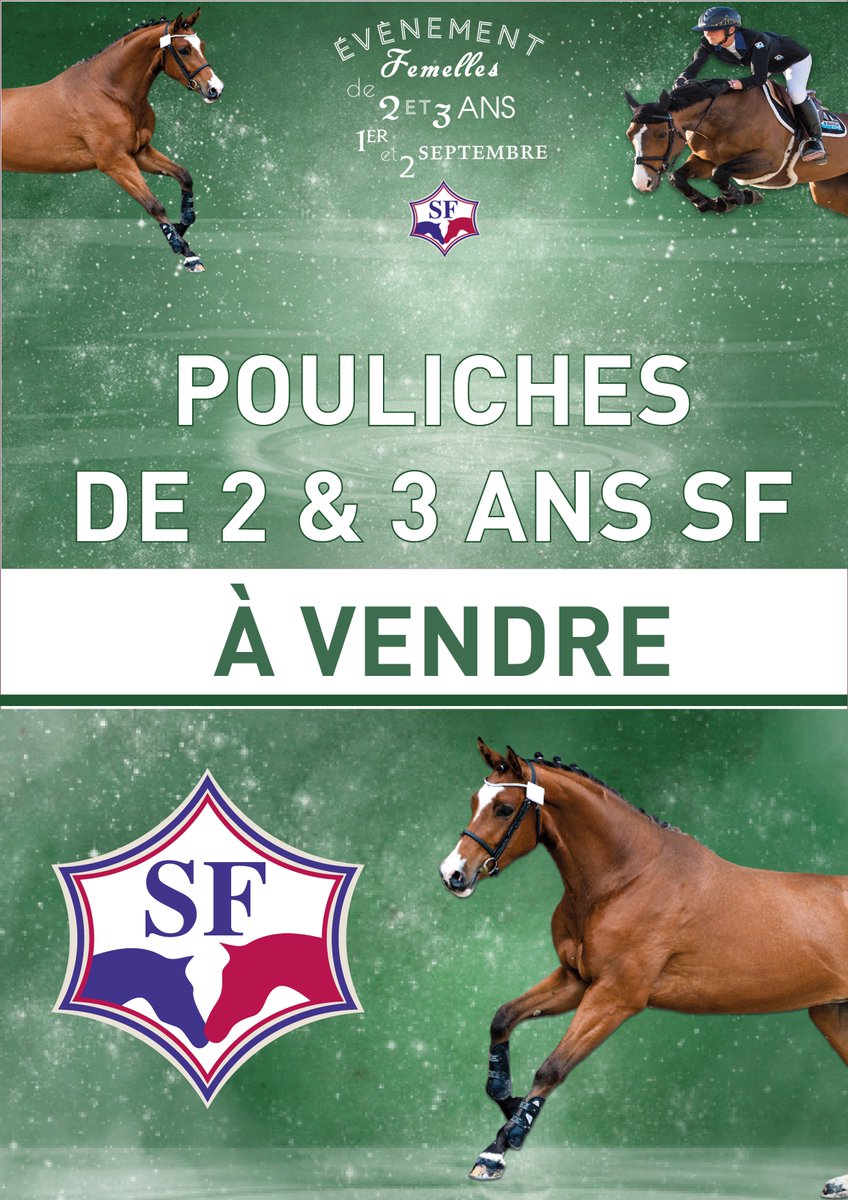 Selle Français tweet media
