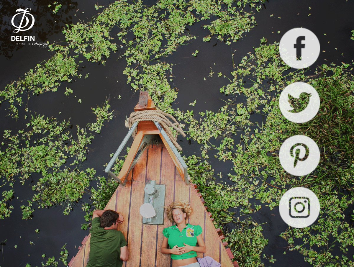 DelfinAmazon's tweet photo. Get to know the Amazon and the Delfin experience, follow us in our social networks. https://t.co/hwTF660kfe