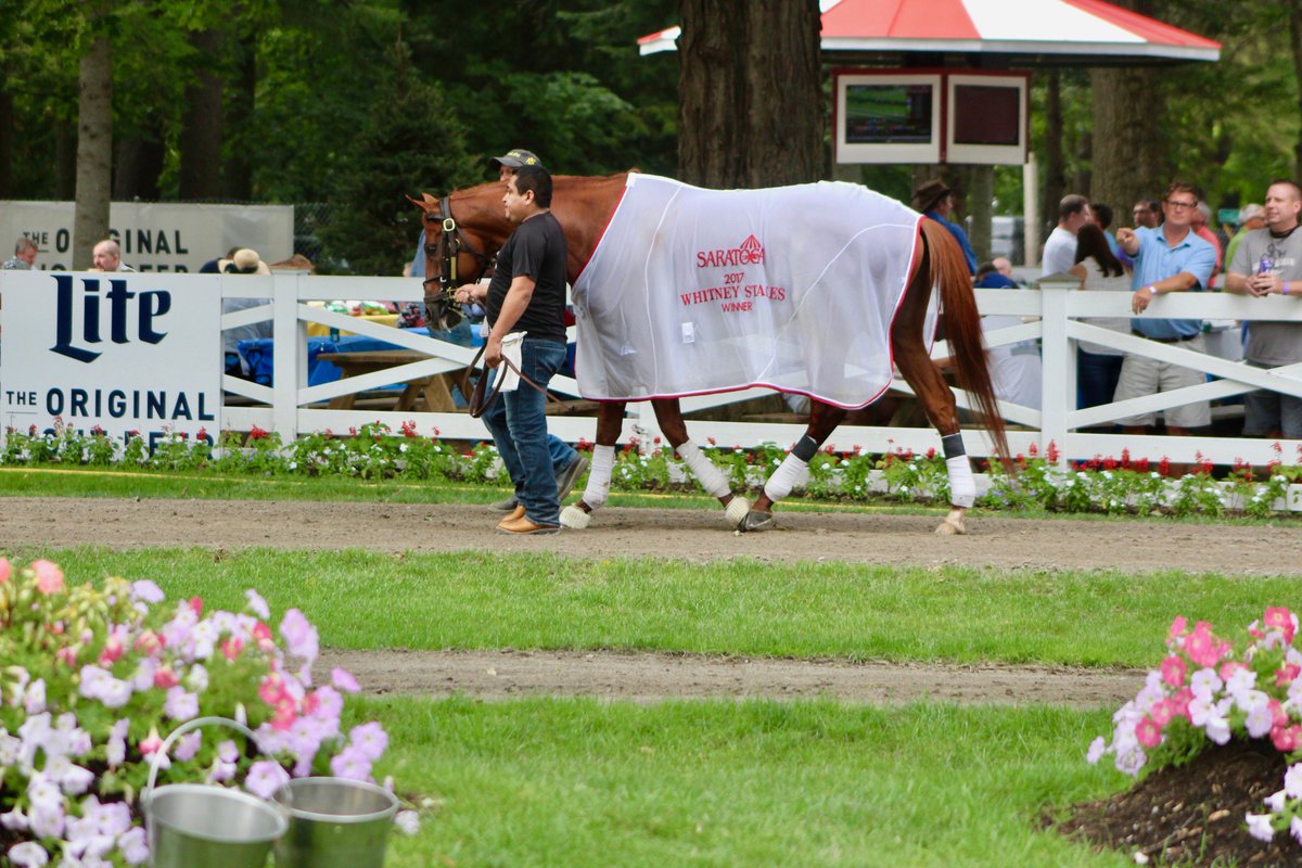 "What's Happening" closing week at #Saratoga? Check it out >>  bit.ly/2iE2mXM