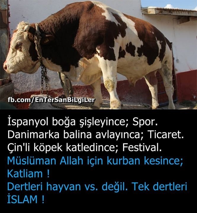 furkan mehmet (@mmurcaglayan1) on Twitter photo 