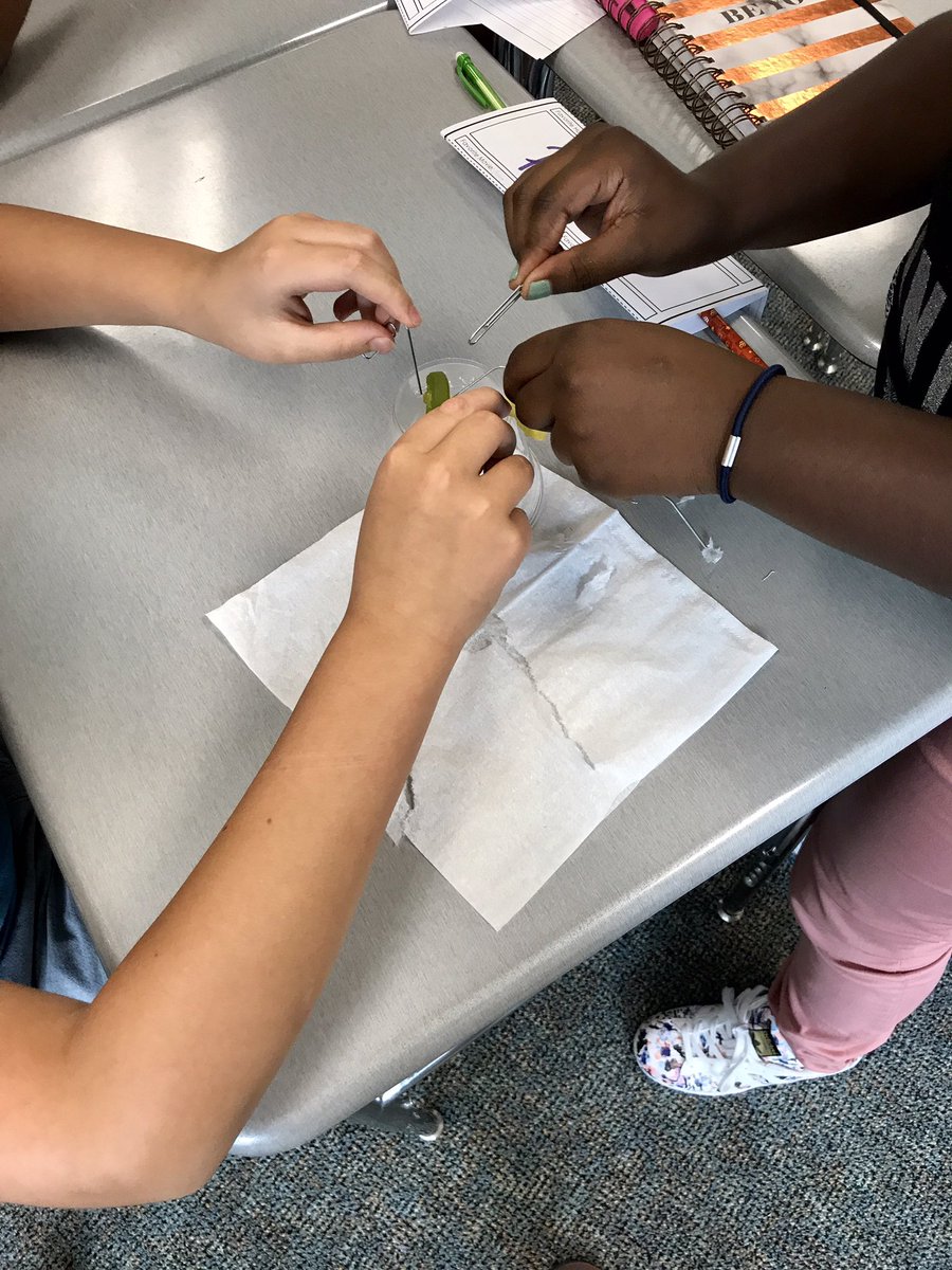 Kristen Hackbarth tweet media