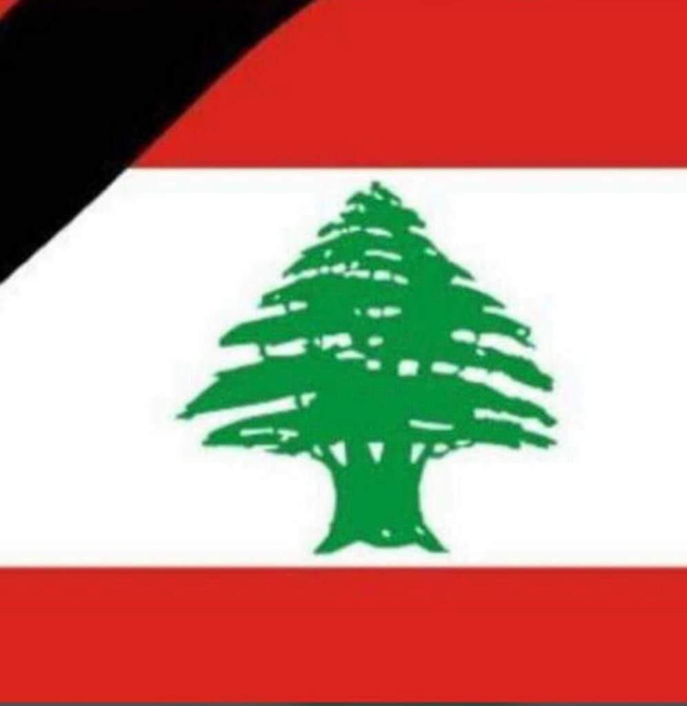 Matilda Farjallah (@matildafarjalla) on Twitter photo 