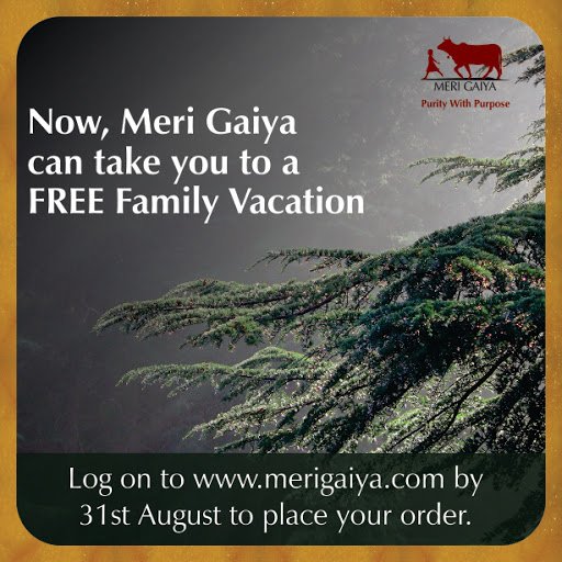 Merigaiya's tweet photo. Hurry up limited time offer @Merigaiya pure hand made desi cow ghee chance to win free family vacation https://t.co/JJTcneRhD5