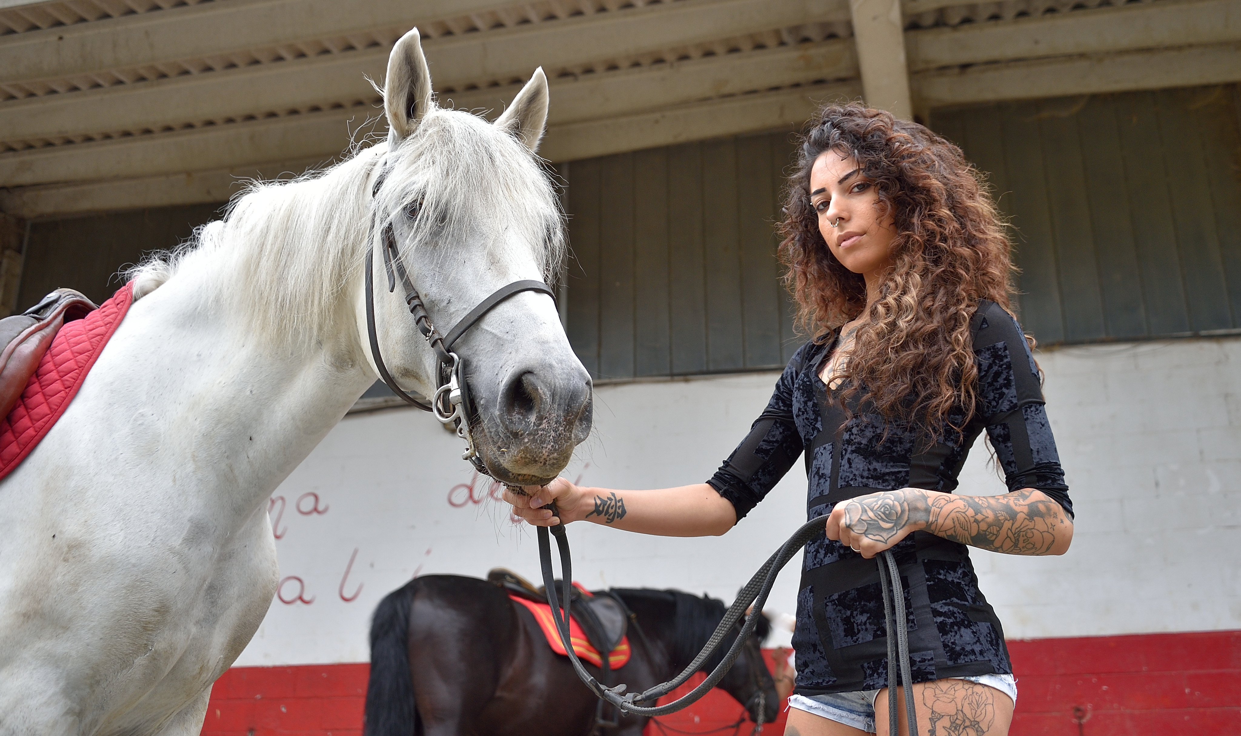 Zena sa konjem