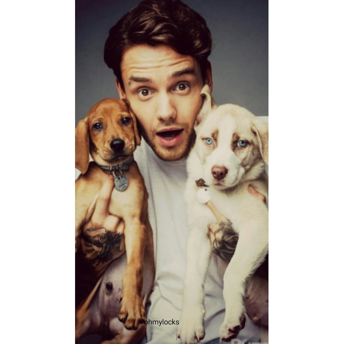 FatimaOjeda02's tweet photo. ¡Happy Birthday my boy, Happy 24!🎈😍. @LiamPayne https://t.co/BFMxkTyMbx