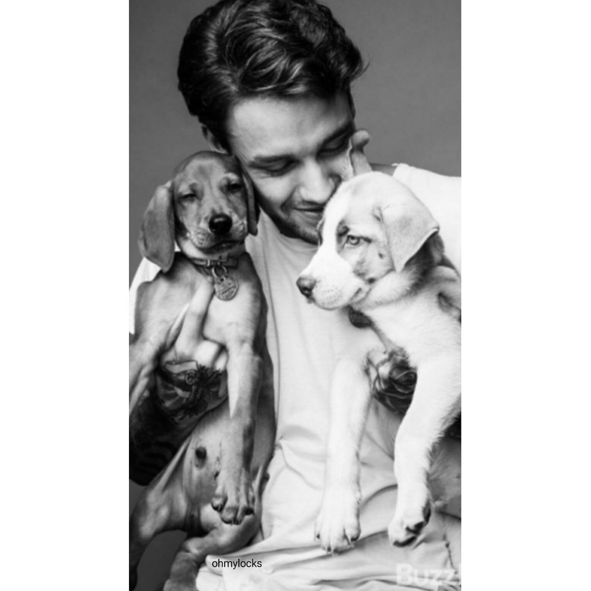 FatimaOjeda02's tweet photo. ¡Happy Birthday my boy, Happy 24!🎈😍. @LiamPayne https://t.co/BFMxkTyMbx