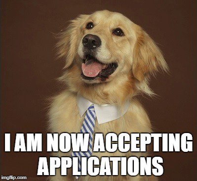 FSUCPS's tweet image. Be sure to apply for internship credit by this Thursday, August 31st! ow.ly/JLxf30eJIJz #FSUBizInterns #HireANole #FallInterns