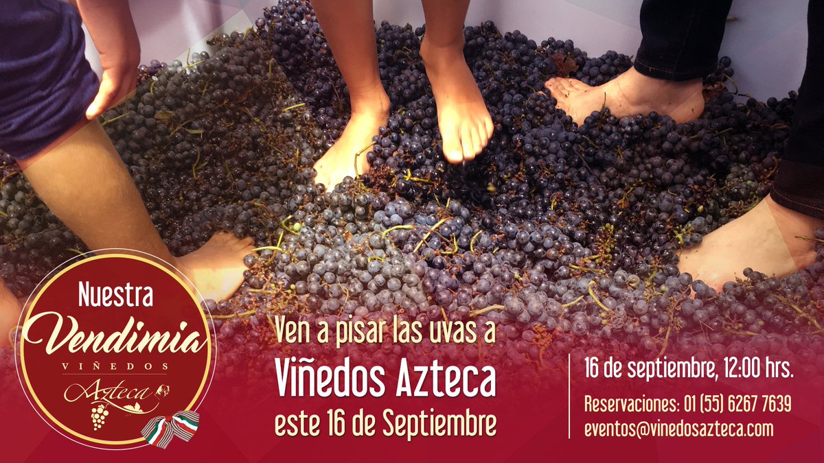 Ven a pisar las uvas con nosotros y celebra las fiestas patrias. Informes y reservaciones: goo.gl/Bmdfz3