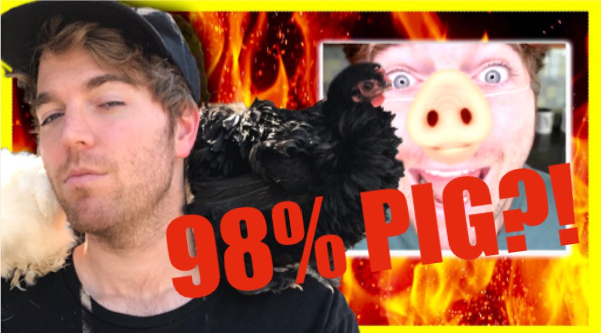 EmilSJ02's tweet photo. @shanedawson IS HE 98% PIG?! #shanepaper https://t.co/jRqMnPnJjT