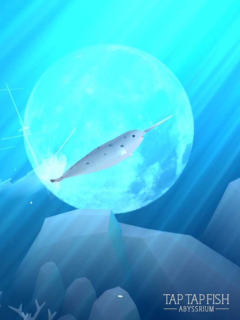 SlicedBreadLoaf's tweet image. My Narwhal:) 
#taptapfish
Download: onelink.to/jhe4sh
