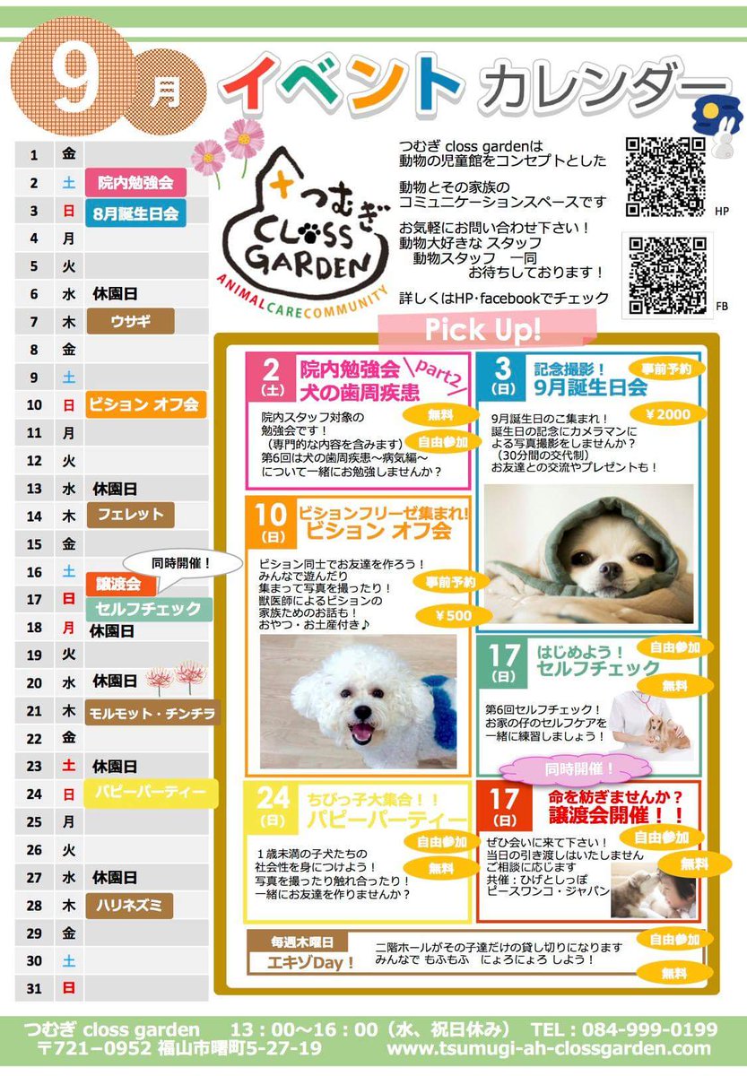 bellcat7's tweet photo. 9月の譲渡会は17日(日)13時より!!
つむぎ動物病院さんにて開催予定ですよ♪
唯一無二の愛しいわんにゃんに出会えるかも♡
お気軽にお立ち寄りください!!
#広島 #福山 #譲渡会 #里親募集 #保護犬 #保護猫 #つむぎ動物病院 #ひげとしっぽ #ピースワンコ #拡散希望 https://t.co/O4kCahxetx