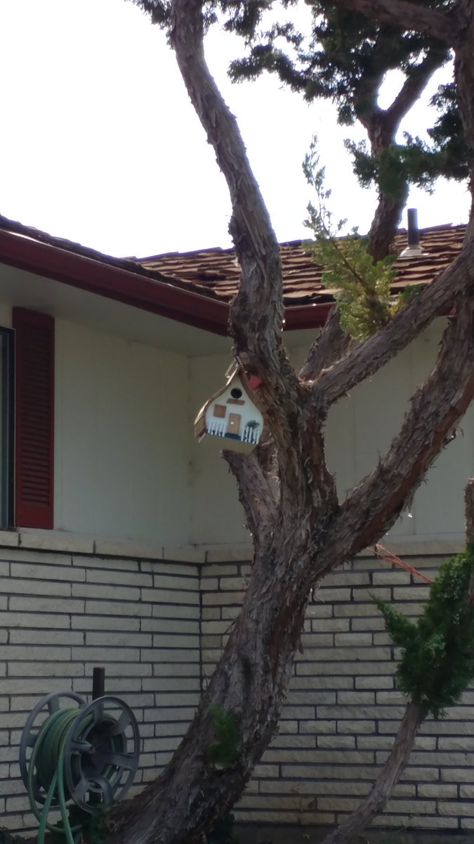 cole2cole's tweet photo. My mom's #BirdHouse is finally up! https://t.co/WXR7zY8Qev