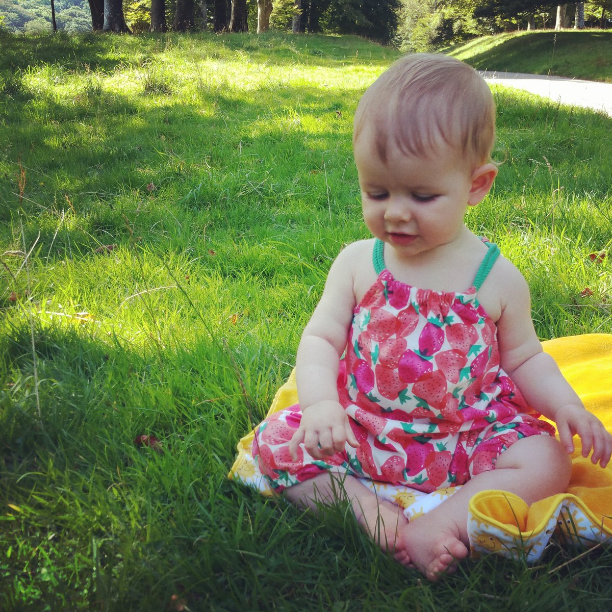 MiriMain's tweet image. Beautiful BH @LanhydrockNT @nationaltrust &amp;amp; as always staff in the cafe super helpful!