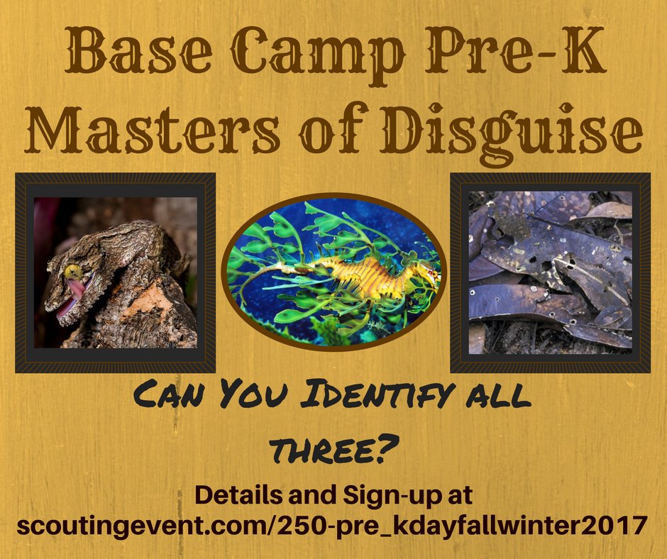 Base Camp tweet media