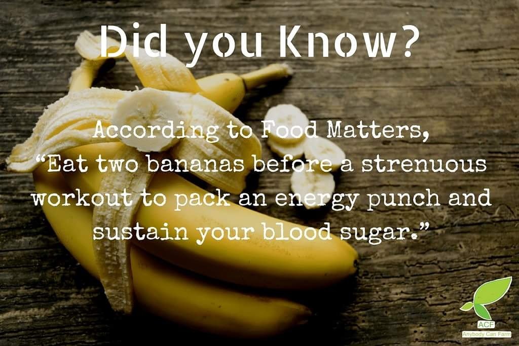 AnybodyCanFarm's tweet photo. #ACFARM
#ACF_FACT
#BANANA_FACT_3 https://t.co/66llkjeK47
