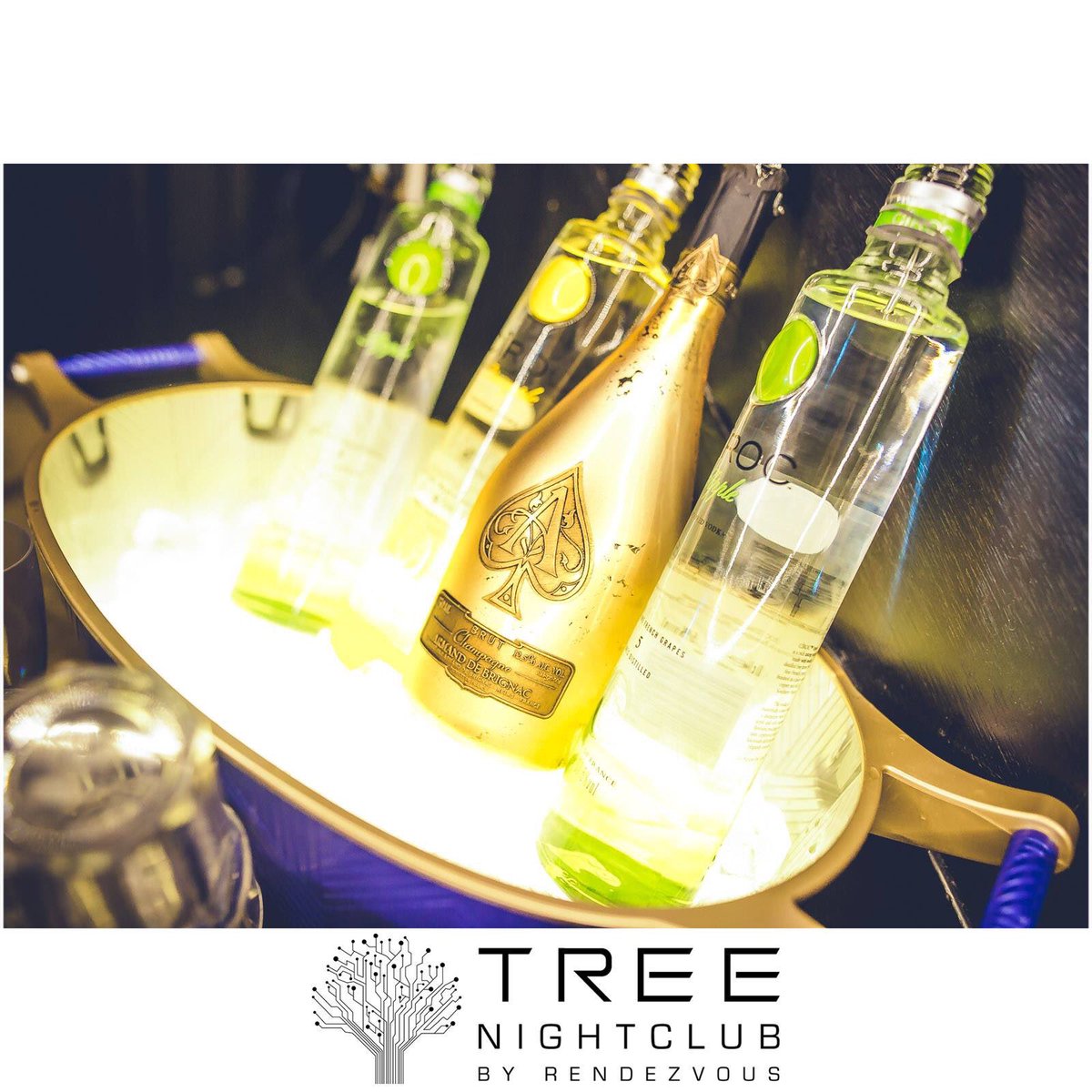 treeswindon's tweet photo. @ArmandDeBrignac & @Ciroc #goforgold #treeswindon https://t.co/lZpyxiMMkq