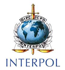 Interpol detuvo un hombre por falsificar permisos de navegación. tinyurl.com/y83zerre