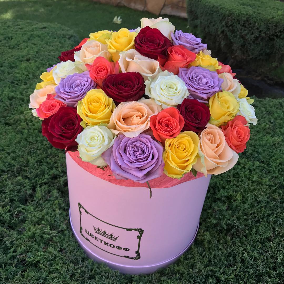 SunroseComUa's tweet image. Летние радости 🌸🌸🌸
Порадуйте себя и близких) sunrose.com.ua