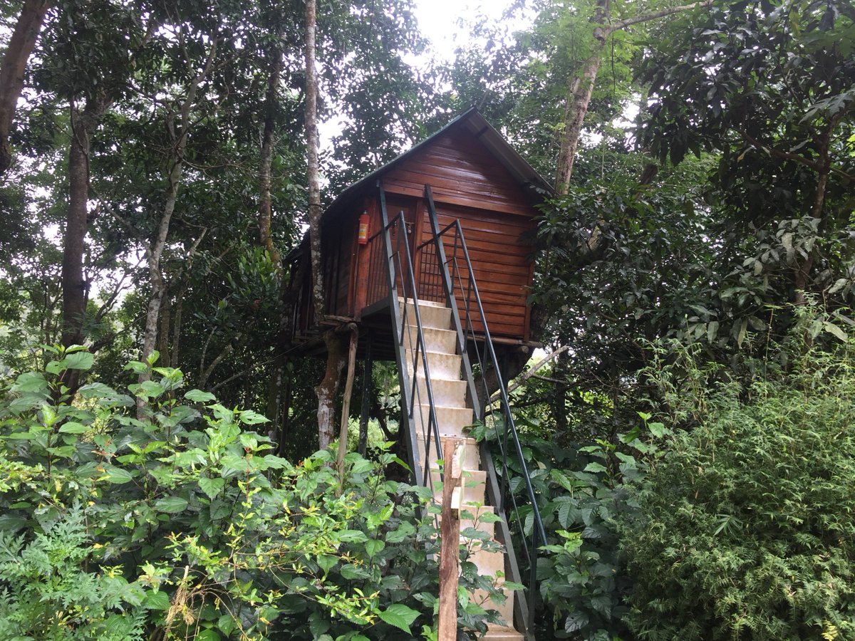 Taranpreet222's tweet photo. Beautiful #treehouse in a #forest in #Kerala is a perfect escape in the lap of #nature 
@KeralaTourism @incredibleindia @NatGeo #wanderlust https://t.co/Ja26nOwQ5x