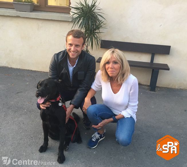 lecho_fr's tweet photo. Nemo, le nouveau chien d'Emmanuel Macron a été adopté à la SPA d’Hermeray, dans les Yvelines
 https://t.co/ovKf8zFvO3 https://t.co/jgPC0e5YXm