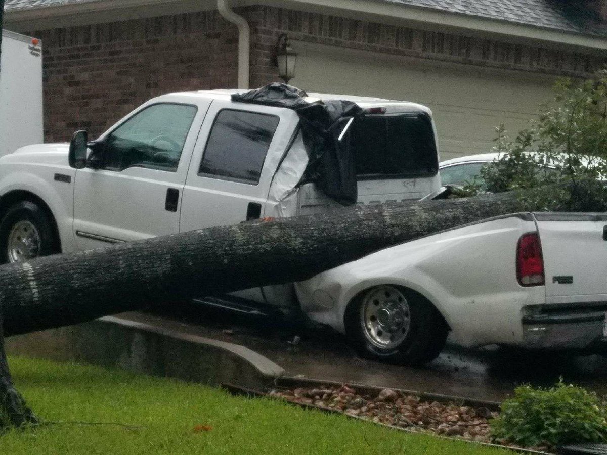 MCTXSheriff's tweet photo. Due to rain saturation a huge oak tree fell on Corvus Dr Willis. Point Aquarius neighborhood.  No one was hurt.  #HarveyMoco2017 https://t.co/cLqhAlei7H