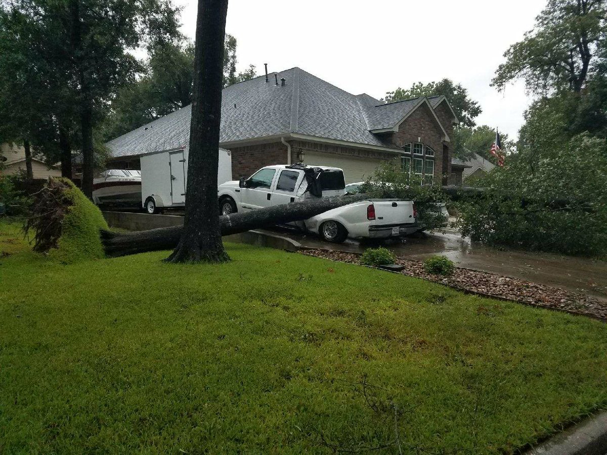 MCTXSheriff's tweet photo. Due to rain saturation a huge oak tree fell on Corvus Dr Willis. Point Aquarius neighborhood.  No one was hurt.  #HarveyMoco2017 https://t.co/cLqhAlei7H