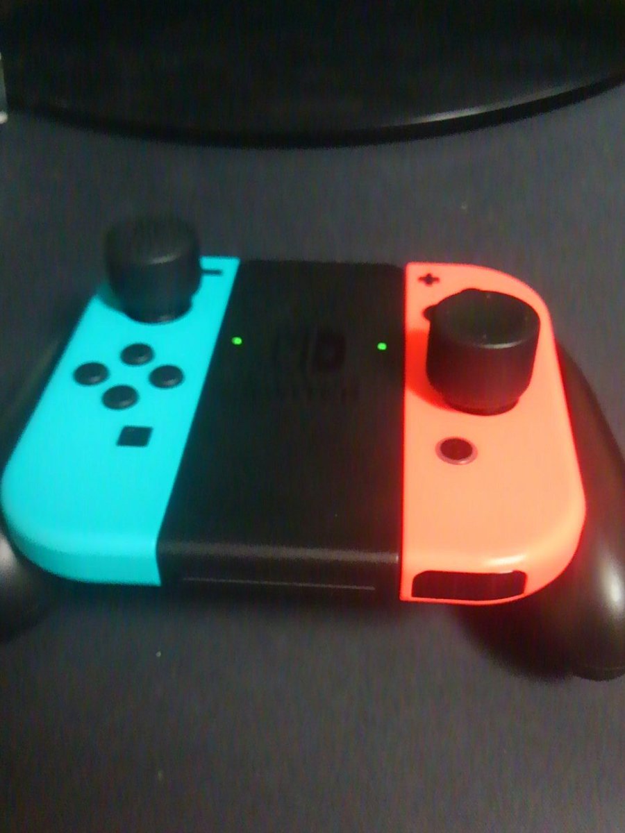 俺のスイッチのスティックデカ！