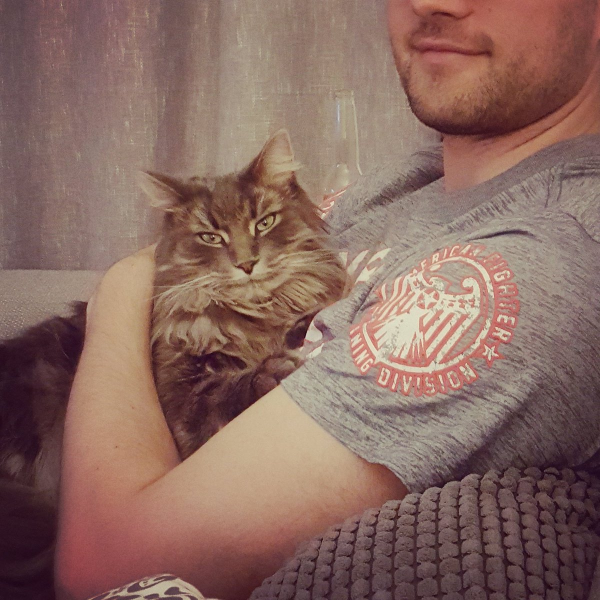 leothelonghair's tweet photo. @PetplanUK Leo is #insured #petplan #classic #insuredforlife we wouldn't consider any other insurer https://t.co/loYKE5V0rt