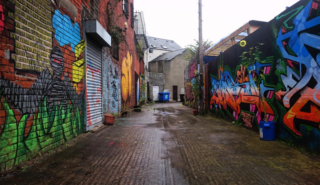 bohoman's tweet photo. Some #StreetArt created by @davidcreativeuk, #ElaineTaylor, #LeoBoyd etc for #HitTheEast in #Belfast. Mon 28/08/17. https://t.co/Pu5nUmlHSR