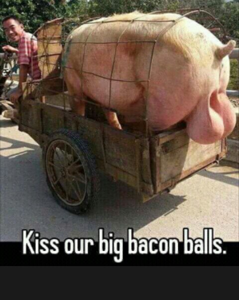 gunter_pudewell's tweet photo. @cowboy6pak @SheriffClarke @luvGodncountry You need a #set of #balls no more #Cowards #behaviour2017 and #AssumeThePosition And Then @PhillyANTIFA @AntifaBoston @NYCAntifa ! @POTUS https://t.co/1RPSXbIbup
