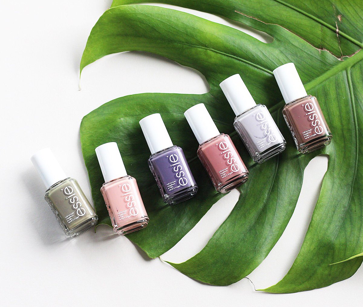 lackschwarz's tweet photo. 🌿the  w i l d  n u d e s  collection by @essie @essie_DE #sobeautiful https://t.co/igiE7of2Hv