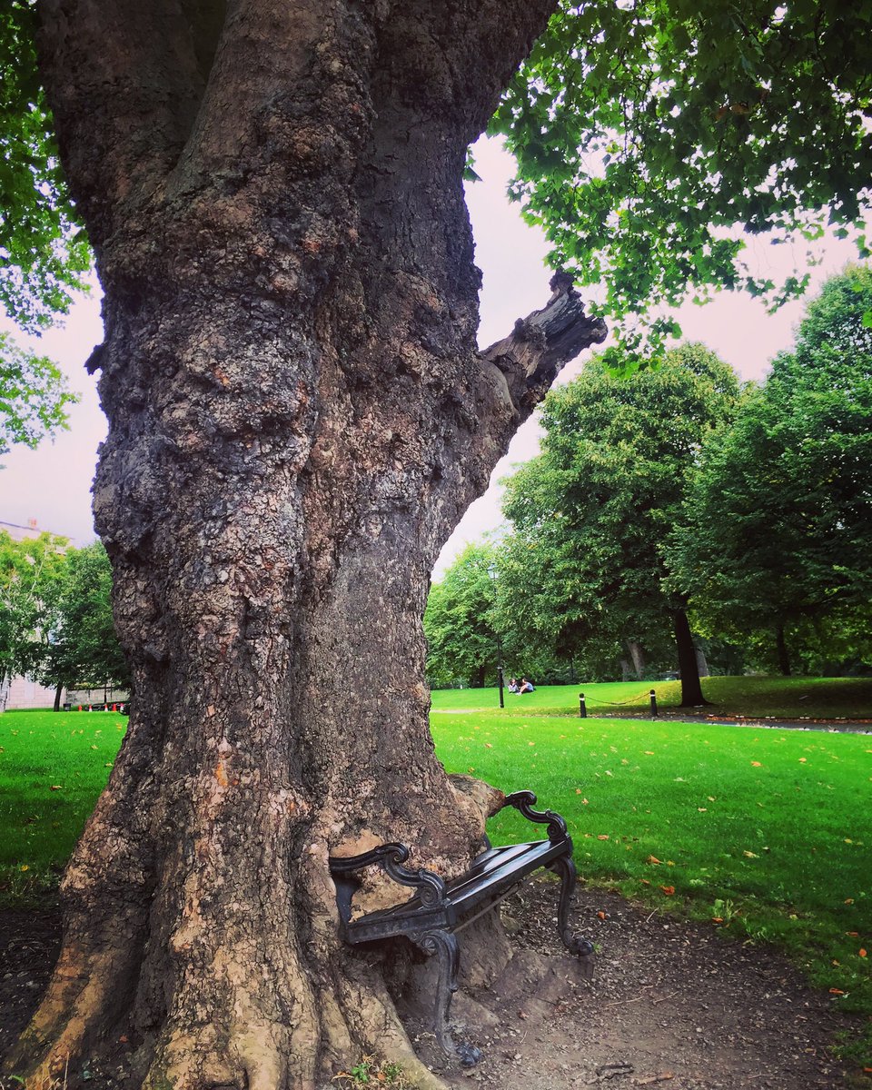 VCerulloNYC's tweet photo. So...this is a thing. #hungrytree #dublin #parks cc: @Biedersam https://t.co/aPkQ4z7bAd