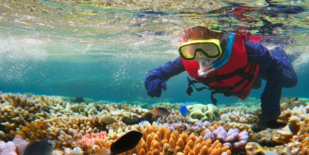 Greenwichdiving's tweet photo. Esta Temporada El #Calendario De Eventos Es Más #Atractivo Que Nunca. #Submarinismo 

https://t.co/ZXn2m9HQuV https://t.co/aWb1bIEzhK