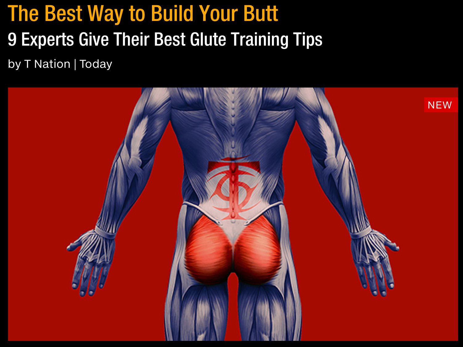 Bret Contreras PhD on X The Best Way to Build Your Butt 9 Experts Give Their Best Glute Training Tips https t PNtz6WwAss https t 7g3a7mbYOn X