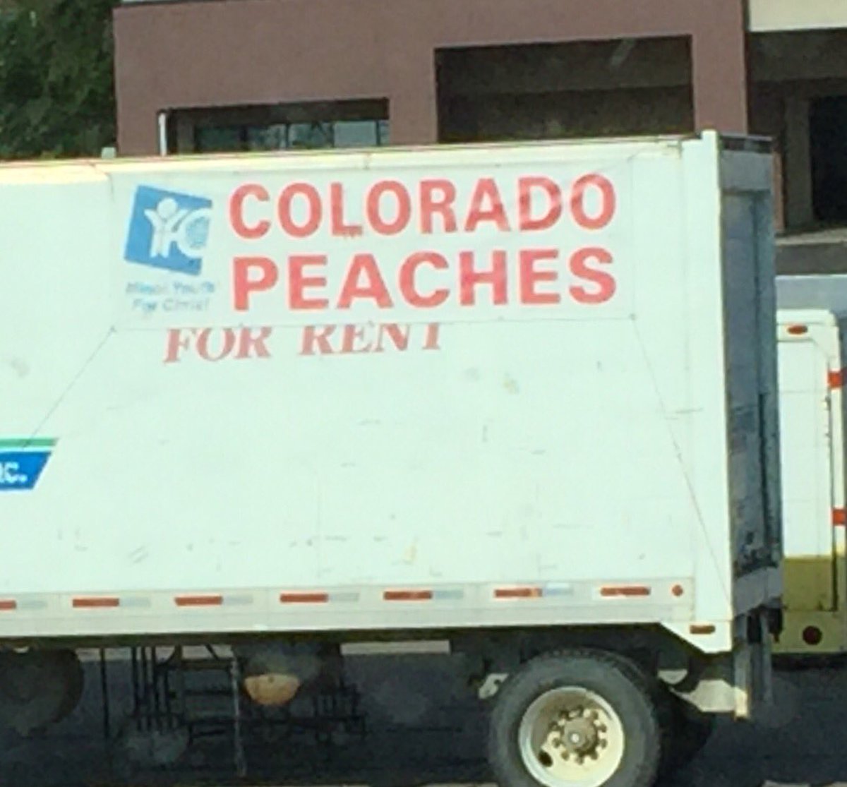 Pretty cool if you can't afford to buy your own peaches!!