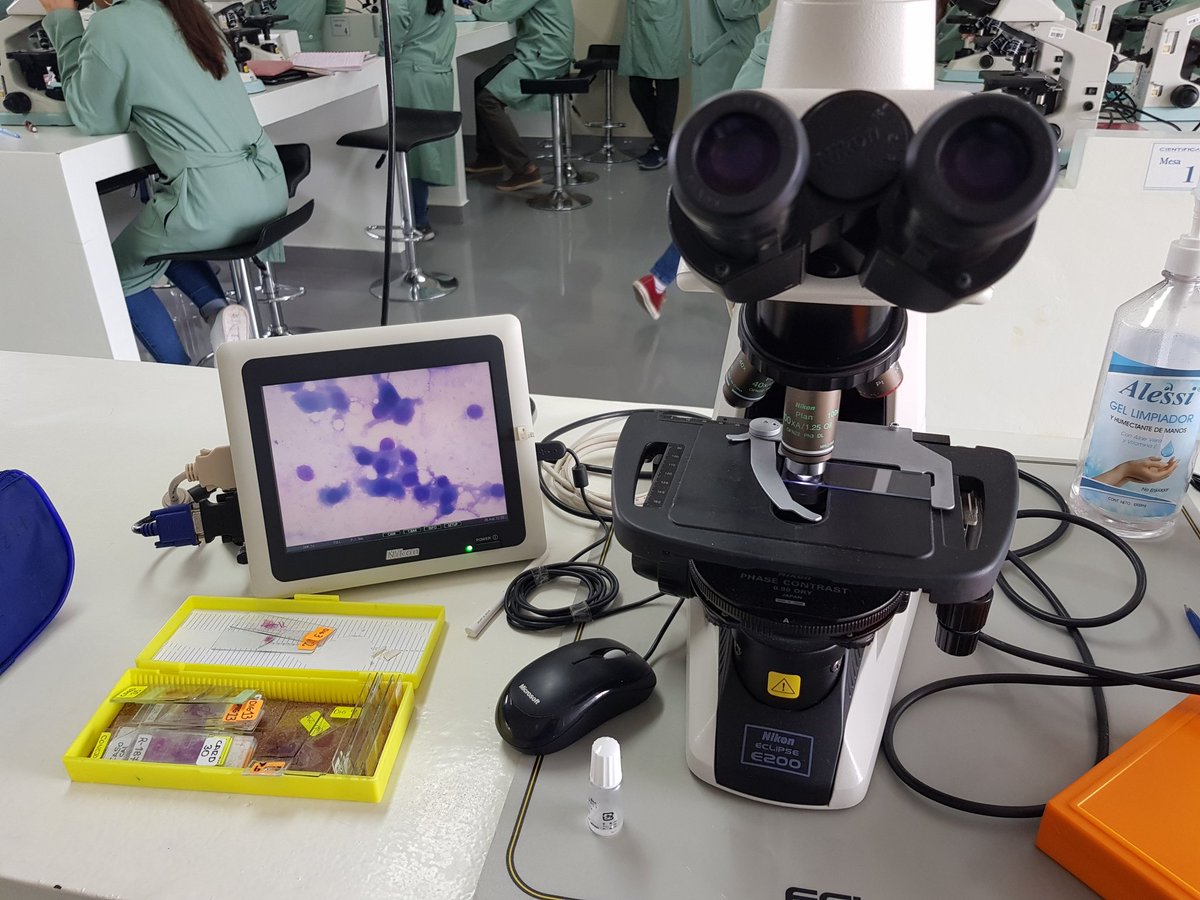 jessica4644's tweet photo. Mi lugar feliz #laboratorio #oncologia #veterinaria https://t.co/VzIWp60ZVd