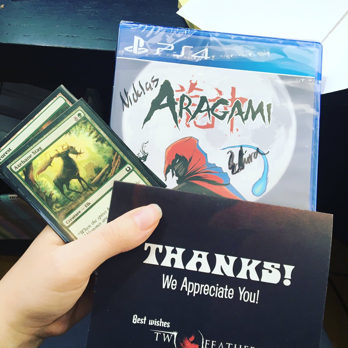 BjorkmanElvira's tweet photo. I took part in the #reddit #arbitraryday & got matched with someone who likes games and (unknown kind of) magic! 🙂this was my gift! #aragami https://t.co/vTi3kSiWYY