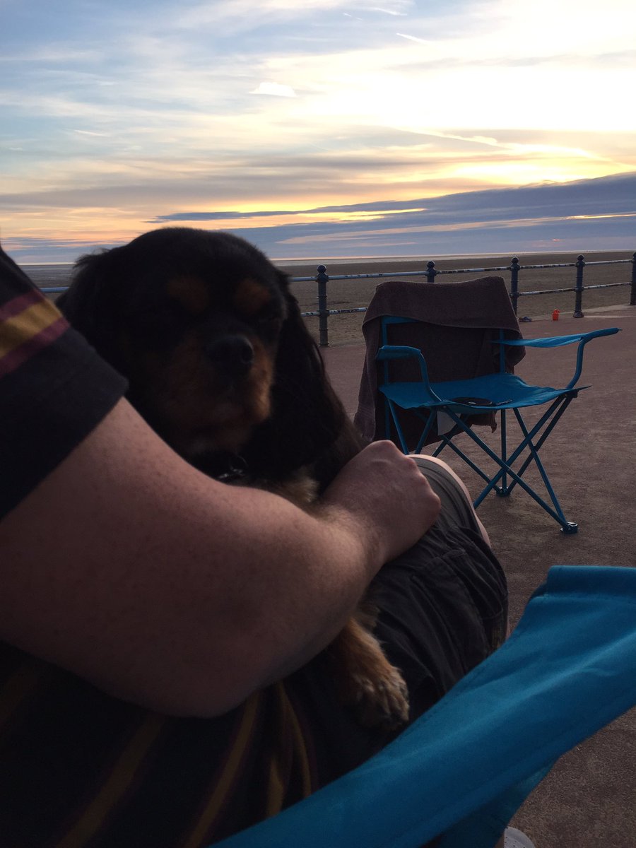 RosieKcavalier's tweet photo. Beachy hut sunset snug and warm #chippysupper 😀😀😀🏖😋😍😍😍@MsRoseCavalier @Price27P @uk_mchale @Carlisle_x @harveybones @lottieandnic https://t.co/pRNSJ86wVz