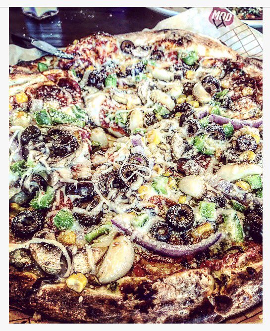 Jason Elkin tweet media