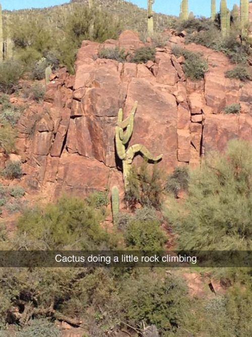 YardProduct's tweet photo. This is great! #landscapinghumor #gardeninghumor https://t.co/kyjzQfq2Vh