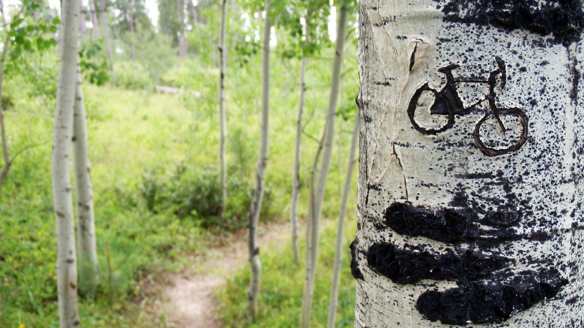 Salsa Team Rider Greg Gleason has a new Black Hills, South Dakota route up on blackriver. 
blackriver.cc/rides/32540